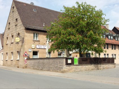 Photo: &quot;Grüner Baum&quot;